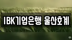 IBK기업은행 울산호계