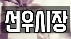 선우시장