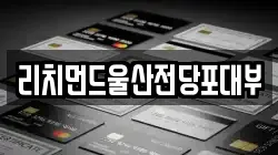 리치먼드울산전당포대부