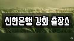 신한은행 강화 출장소