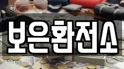 보은환전소