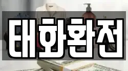태화환전