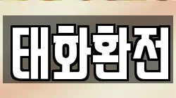 태화환전