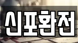 신포환전