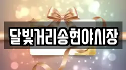 달빛거리송현야시장