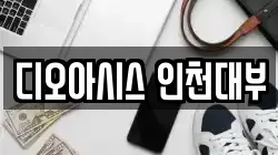디오아시스 인천대부