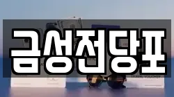 금성전당포