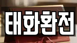 태화환전