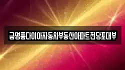 금명품다이아자동차부동산아파트전당포대부