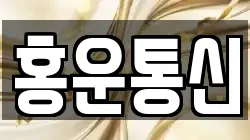 홍운통신