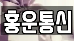 홍운통신