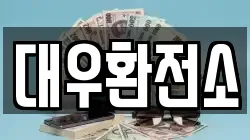 대우환전소