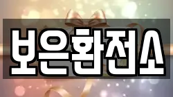 보은환전소