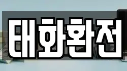 태화환전