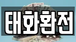 태화환전