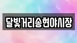 달빛거리송현야시장