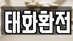 태화환전
