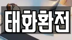 태화환전