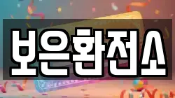 보은환전소