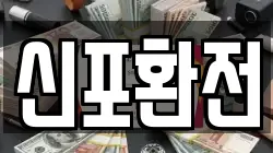 신포환전