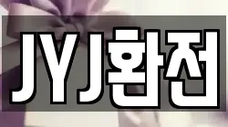 JYJ환전