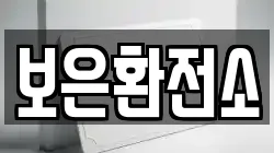 보은환전소