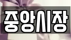 중앙시장