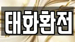 태화환전