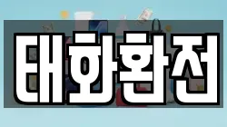 태화환전