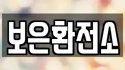 보은환전소