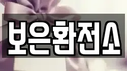 보은환전소