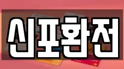 신포환전