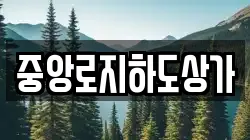 중앙로지하도상가