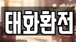 태화환전