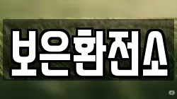보은환전소