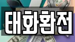 태화환전