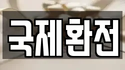 국제환전
