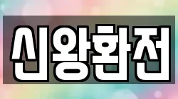 신왕환전