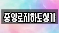 중앙로지하도상가