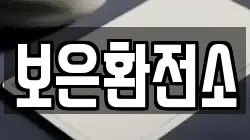보은환전소