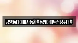 금명품다이아자동차부동산아파트전당포대부