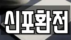 신포환전