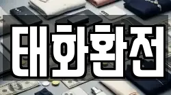 태화환전
