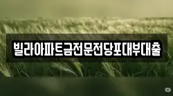 빌라아파트금전문전당포대부대출
