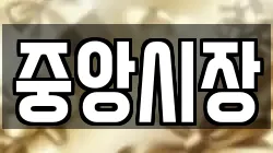 중앙시장