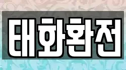 태화환전