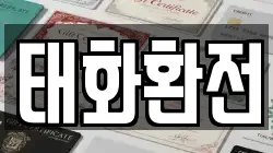 태화환전