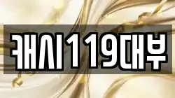 캐시119대부