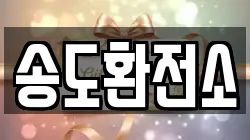 송도환전소