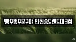 빵꾸똥꾸문구야 인천송도랜드마크점